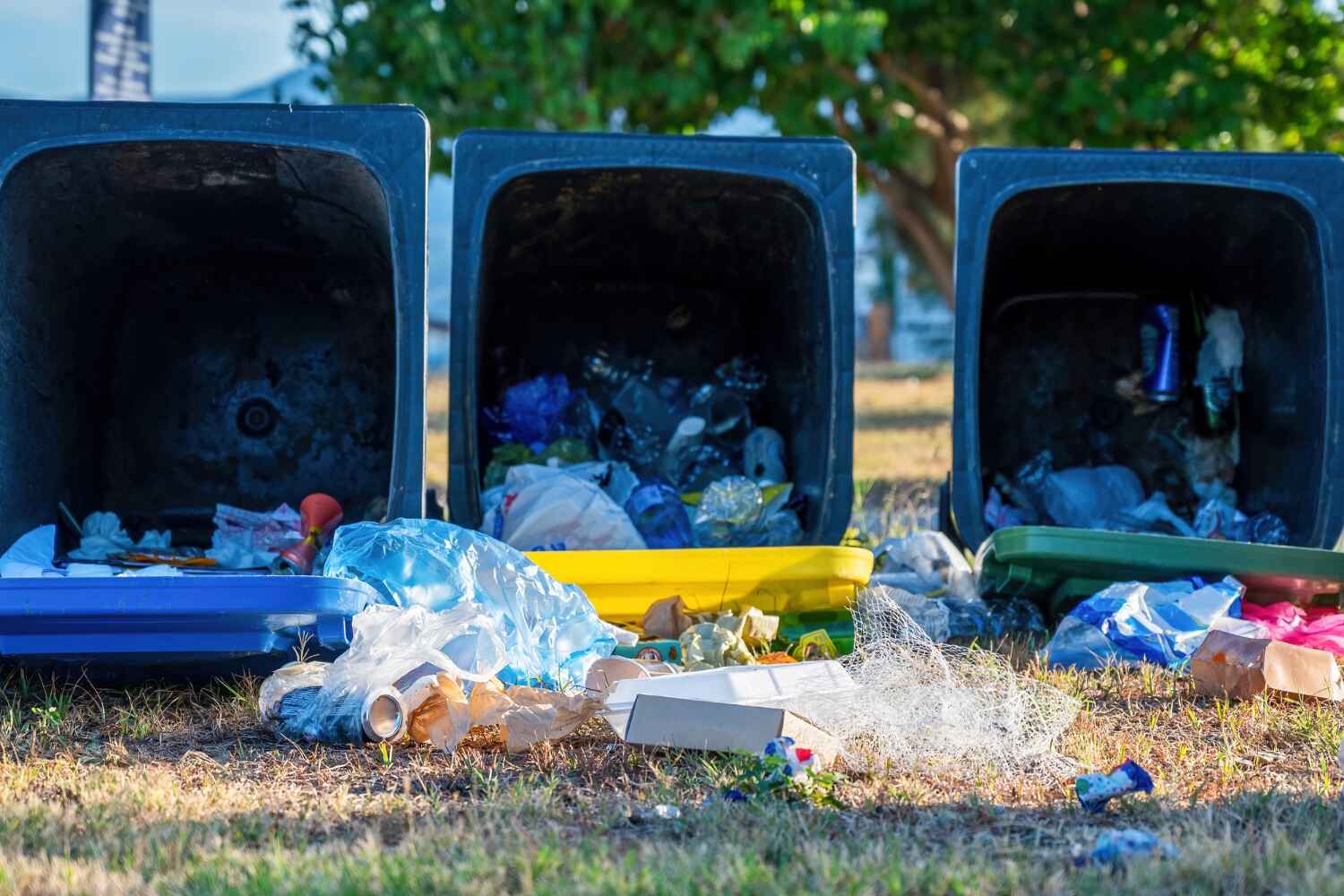 Best Yard Waste Removal  in Shrewsbury, NJ